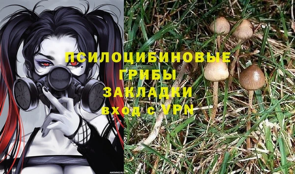 дурь Алзамай